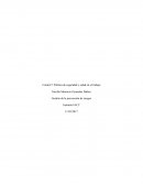 Control 7 Política de seguridad y salud en el trabajo