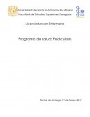 Programa de salud pediculosis