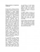 Enfoques basados en la dependencia a largo plazo