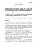 Ensayo de Siddharta . Durante la historia han surgido ideas increíbles