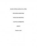 ENSAYO “Desde mi cielo”