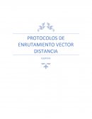 INTRODUCCION A LOS PROTOCOLOS DE ENRUTAMIENTO VECTOR DISTANCIA