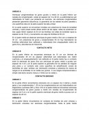 Areniscas conglomeraticas de grano grueso a medio en la parte inferior con canales de conglomerado