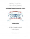 INTRODUCCION A LA POLITICA CRIMINAL * LIBRO POLÍTICA CRIMINAL ESTRATÉGICA