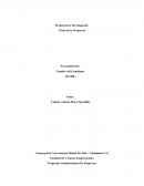 Plantilla Propuesta de Investigación. Administración De Empresas