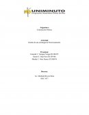 Actividad Diseño de una estrategia de Posicionamiento