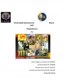 Pia de artes Obra de Teatro