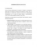 EXPERIMENTACIÓN EN PLANTA PILOTO