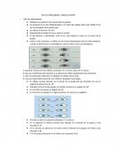 TEST DE HIRSCHBERG Y ANGULO KAPPA