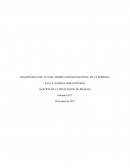 GESTIÓN DE LA PREVENCIÓN DE RIESGOS YAMANA GOLD INC EXPLORACIONES