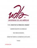Ensayo de "El stress en el trabajo"