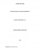 PROCESOS EVALUATIVOS: Desarrollo de las actividades propuestas