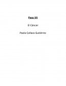 Paso VII El Cáncer