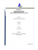 SEMINARIO PRÁCTICAS PEDAGÓGICAS EN LA DIVERSIDAD