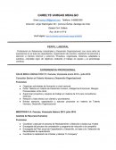 Síntesis curricular ejemplo