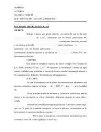 Modelo dedemanda divorcio vincular. Página 1