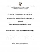 DELINCUENCIA, VIOLENCIA, CAUSAS, EFECTOS Y TACTICAS