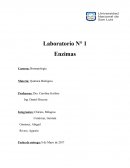 Laboratorio N° 1 Enzimas