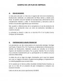 EJEMPLO DE UN PLAN DE EMPRESA