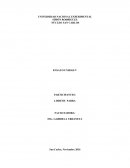 ENSAYO DE LA UNIDAD V