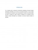 DESARROLLO DEL TEMA Campo formativo: Pensamiento matemático