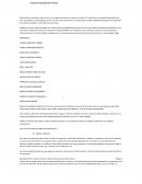 Después de las vacaciones, para violeta y sus amigos comienzan un nuevo curso