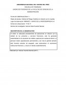 Análisis de Riesgo Crediticio en relación con la Liquidez.