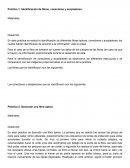 Identificación de fibras, conectores y acopladores.