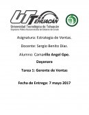 La complejidad del trabajo del gerente de ventas en basler, inc.