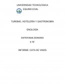 HISTORIA DE LA CASA VINICOLA