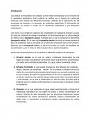 Tema de Trans´porte a travez de la membrana