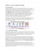 La Teoría Celular - LA CELULA (MODULO COMUN)
