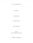 ACTIVIDAD Definir el área prioritaria donde agrega más valor realizar su plan de servicio