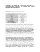 Evaluación de la influencia del sustrato y la temperatura en la rusticación de plantas producidas in vitro de frailejón andino Espeletia hartwegiana cuatrecasas (asteraceae)