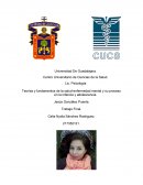 Teorías y fundamentos de la salud-enfermedad mental y su proceso en la infancia y adolescencia