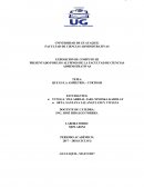 QUE ES LA ASIMETRÍA - CURTOSIS