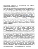 SEÑALIZACION CELULAR Y TRANSDUCCIÓN DE SEÑALES: COMUNICACIÓN INTRERCELULAR