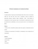 El Efecto de Contaminantes en el Crecimiento de las Plantas.
