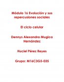Módulo 16 Evolución y sus repercusiones sociales