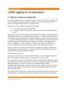 ¿ADN vegetal en el shampoo?