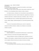 Sala integrada 3 y 4 años TERCER INFORME