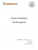 Percepcion de violencia en niños