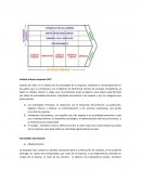 Análisis interno empresa FAYC