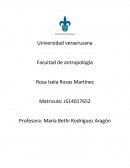 Ensayo: Introducción al sistema de los grupos étnicos