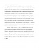 SEMBRANDO VALORES EN LOS HIJOS.