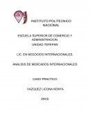 TEMA DE ANALISIS DE MERCADOS INTERNACIONALES