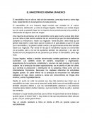 EL NARCOTRFICO DOMINA EN MEXICO