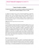 7 pasos de mejora continua