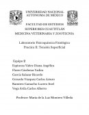 Laboratorio Fisicoquímica Fisiológica Practica II: Tensión Superficial