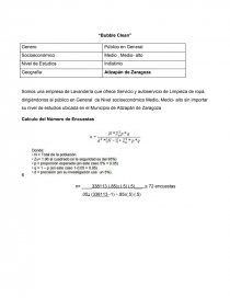 Proyectos de inversion “Bubble Clean”. Página 1